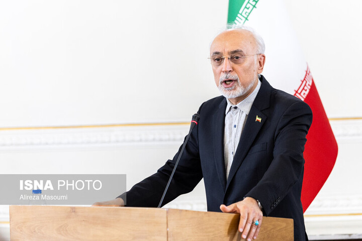 علی‌اکبر صالحی: «الموت» نماد تلاقی جغرافیای اندیشه، مقاومت و فرهنگ است