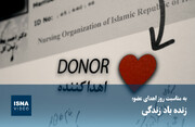 ویدئو / زنده باد زندگی