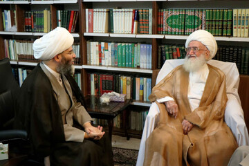 آیت‌الله نوری همدانی: در اجتماعات مردمی تنها باید صدای وحدت شنیده شود