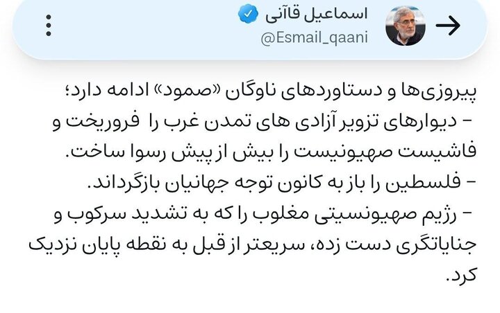 پیروزی‌ها و دستاوردهای ناوگان «صمود» ادامه دارد