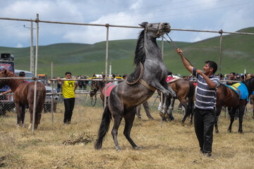 سی و یکمین جشنواره فرهنگی ورزشی عشایر آذربایجان شرقی