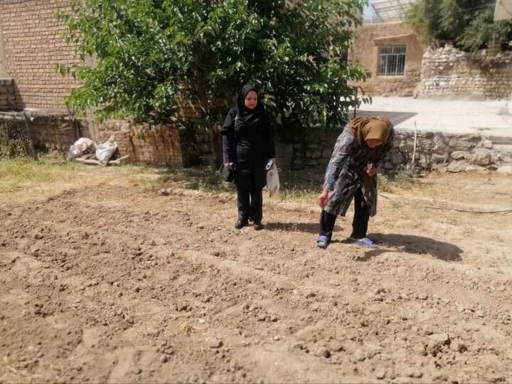 «باغچههای سلامت خانگی» مکمل اشتغال و سلامتی زنان روستایی در ایلام