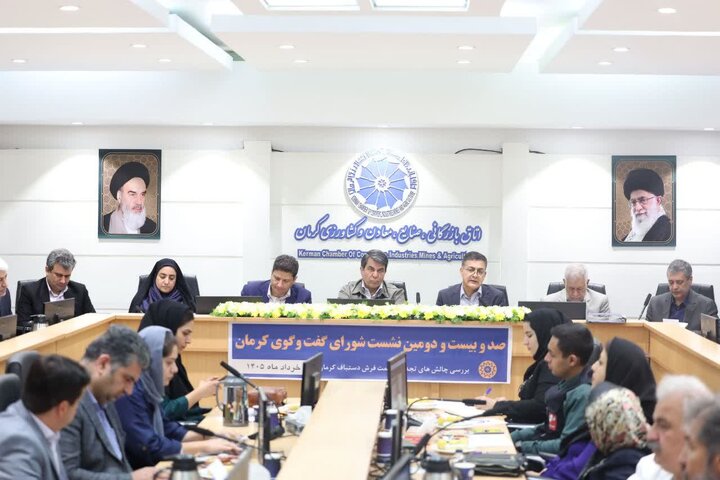 نشستی برای نجات فرش کرمان/ از احیاء باغ‌موزه فرش تا لزوم اقدام مشترک و ثبت برند