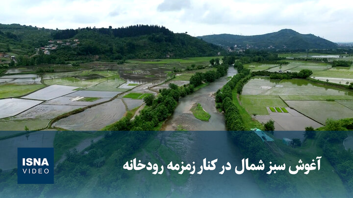 ویدیو/  آغوش سبزِ شمال در کنار زمزمه رودخانه