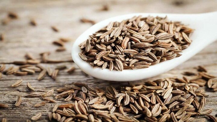 رئیس جهاد کشاورزی استان:زیره سبز، محور توسعه کشاورزی کم‌آب در خراسان جنوبی است