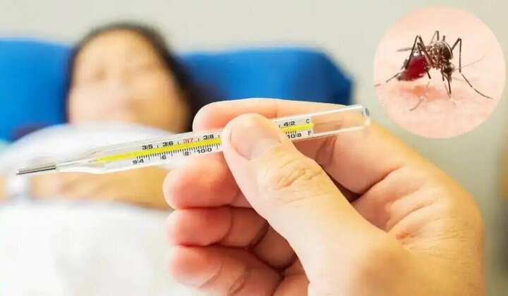 موفقیت جنوب کرمان در کنترل تب دنگی/ ادارات همکاری مستمر داشته باشند
