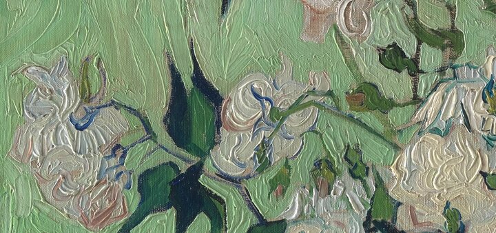 گُلهایی که رنگشان عوض شد!