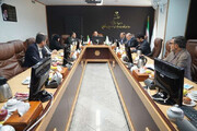 توضیحات سازمان بازرسی درباره تعهدات خودروسازان در طرح جوانی جمعیت