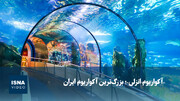 ویدیو/ «آکواریوم انزلی»؛ بزرگ‌ترین آکواریوم ایران
