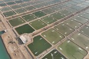 پایان انتظار ۷۰ ساله برای «مزرعه میگوی چابهار» و حل پرونده‌های کهنه در سیستان و بلوچستان