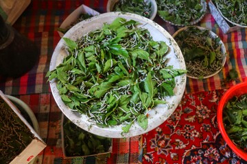 پس از خروج از تخم، لاروهای کوچک و سیاه‌رنگ ظاهر می‌شوند. در این مرحله تنها غذای آن‌ها برگ تازه درخت توت است