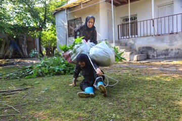 در روستاها غالبا جمع‌آوری برگ درخت توت به روش سنتی و با زحمت فراوان انجام می‌شود