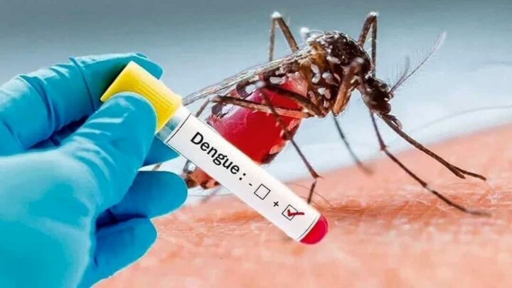 بسیج دستگاه‌های اجرایی چابهار برای جلوگیری از تهدید «تب دنگی»
