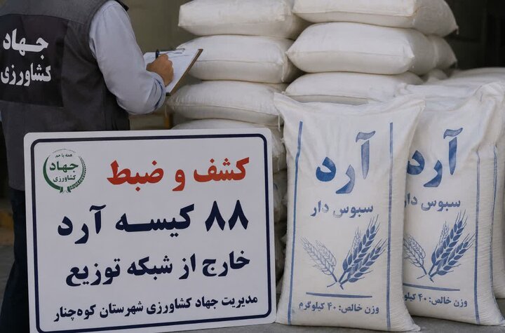 کشف ۸۸ کیسه آرد خارج از شبکه در کوه‌چنار فارس