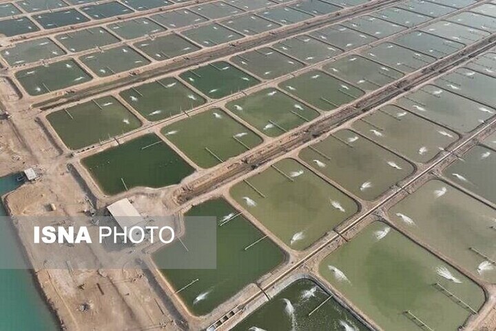 پایان انتظار ۷۰ ساله برای «مزرعه میگوی چابهار» و حل پرونده‌های قدیمی در سیستان و بلوچستان