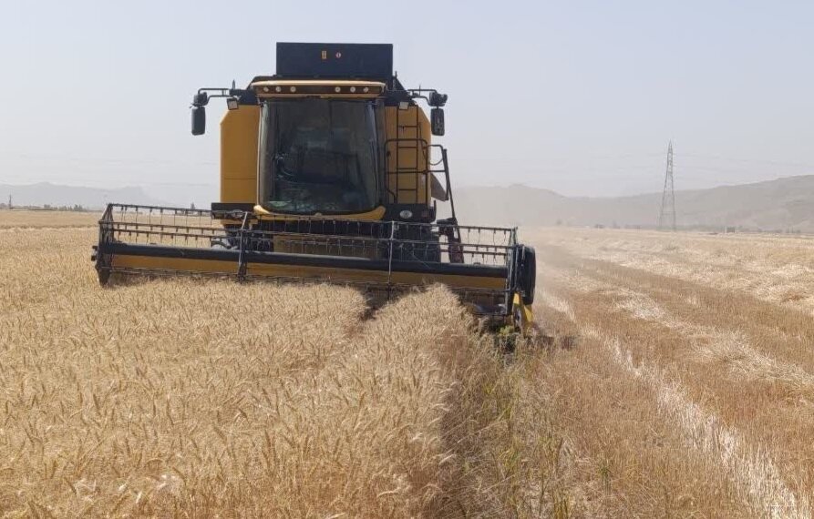 پرداخت مطالبات گندمکاران لرستانی در کوتاه‌ترین زمان پیگیری م