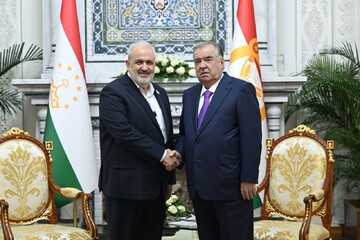 دیدار وزیر نیرو ایران با رئیس جمهور تاجیکستان