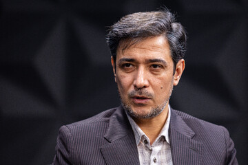 سازمان مالیاتی پیشنهاددهنده مالیات رسانه‌ها نبوده است