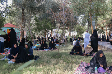 نجوای بندگی در ضیافت عرفه - زاهدان
