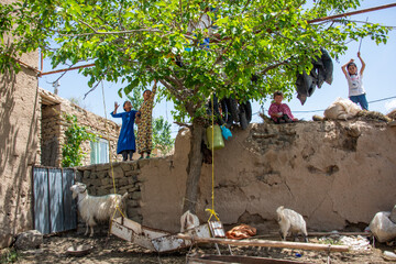 حضور کودکان درپشت بام در حال چیدن توت بزرگتران فامیل عیدقربان در بین مرزنشینان ترکمن_خراسان شمالی