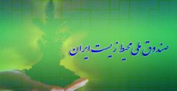 پارسال نیم همت تسهیلات از محل صندوق ملی محیط زیست به متقاضیان پرداخت شد
