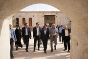 معاون استاندار: برنامه مشترک دشتستان و تنگستان، بوشهر را قطب خرما و گردشگری جنوب می‌کند