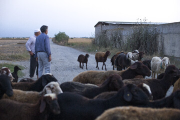 آیین عید قربان در روستای نیاز آباد
