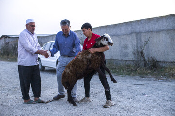 آیین عید قربان در روستای نیاز آباد