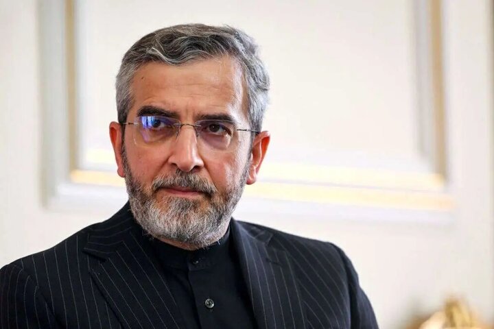 دیدار علی باقری با مشاور امنیت ملی سوئیس در مسکو