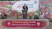 جشنواره فرهنگی توت فرنگی در پیربازار برگزار شد