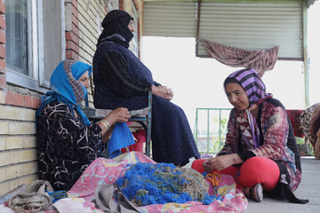 تور رسانه ای اصحاب رسانه به خداآفرین و جنگل های کلیبر __ منطقه آزاد ارسباران