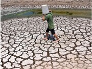 پیش‌بینی سازمان ملل از رکوردزنی دمای جهانی تا ۲۰۲۷