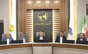 تمرکز بر کاهش ۵ درصدی مصرف برق و مقابله با ماینرها