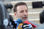 واعظی: پرهیز از دوقطبی‌سازی، نسخه عبور موفق از جنگ و بازسازی کشور است