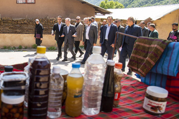 بازدید  معاون گردشگری وزیر میراث فرهنگی، گردشگری و صنایع دستی از روستای شانه تراش