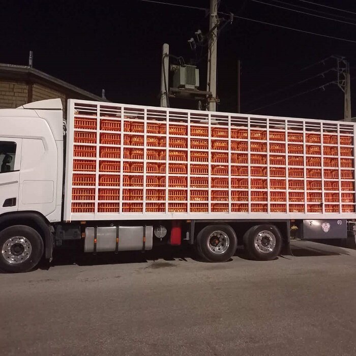 مدیریت جهاد کشاورزی خبرداد: پیشبینی برداشت ۱۷۶۰ تن سیبزمینی از مزارع سوادکوه