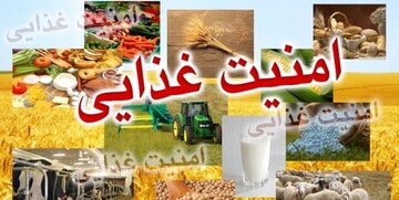 توسعه زیرساخت‌های تولید زنجیره تأمین امنیت غذایی کشور در دستور کار دولت