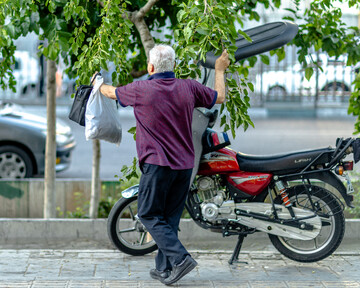 درختان بی‌منت تهران