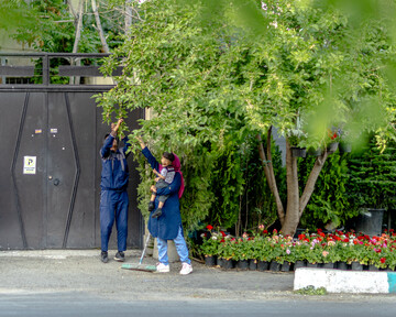 درختان بی‌منت تهران