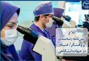 ابلاغ آئین‌نامه رتبه‌بندی «پژوهشگر/فناور» در جهاددانشگاهی