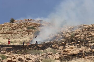 آتش‌سوزی گسترده در ارتفاعات کوه دراک شیراز مهار شد