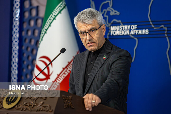 بقایی: ناکامی آلمان در عضویت شورای امنیت، نتیجه سیاست‌های غیرمسئولانه آن در غرب آسیا است