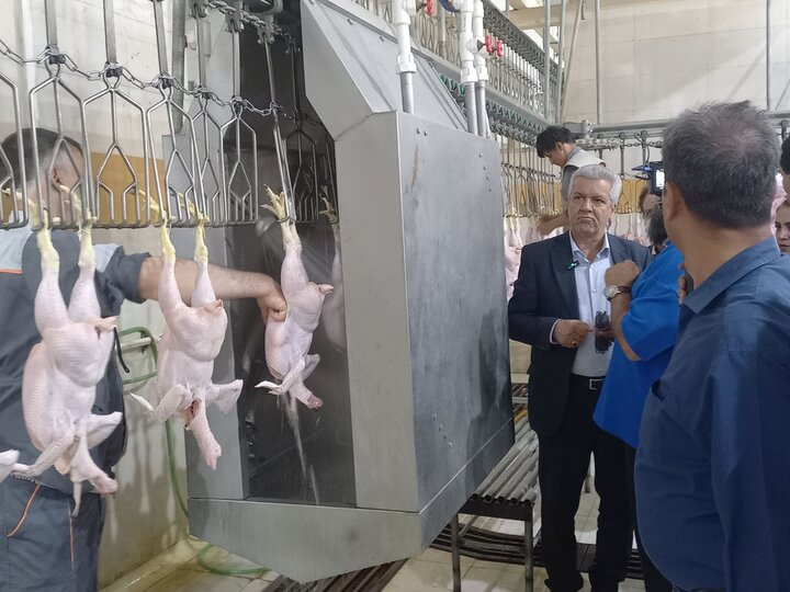 رئیس سازمان جهاد کشاورزی استان: کارخانه  فرنچ فرایز  در همدان احداث می‌شود