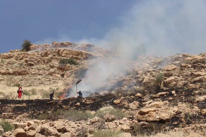 آتش‌سوزی گسترده در ارتفاعات کوه دراک شیراز مهار شد