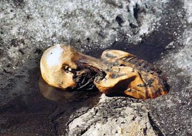 کشف نشانه‌هایی از حیات در مرد یخی!