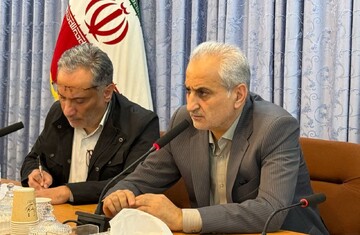 ضرورت تأمین سوخت دوم واحدهای نانوایی و کارخانه‌های آردسازی در اردبیل