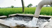 مدیریت یکپارچه منابع آب/
ضرورت اصلاح الگوی معیشت متناسب با شرایط اقلیمی منطقه سیستان