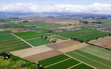 صدور سند مالکیت برای ۲۱ هزار قطعه از اراضی کشاورزی سیستان و بلوچستان