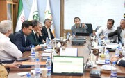 معاون شهرداری شیراز: پیوست محیط‌ زیستی برای پروژه‌های شهری الزامی شد