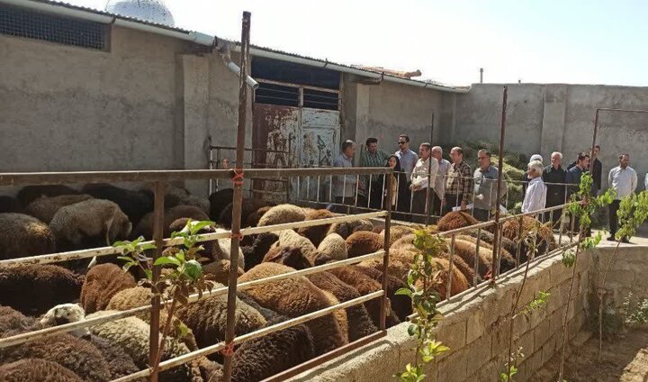 پرداخت ۷۷ میلیارد ریال وام مشاغل خانگی در بخش کشاورزی فامنین
